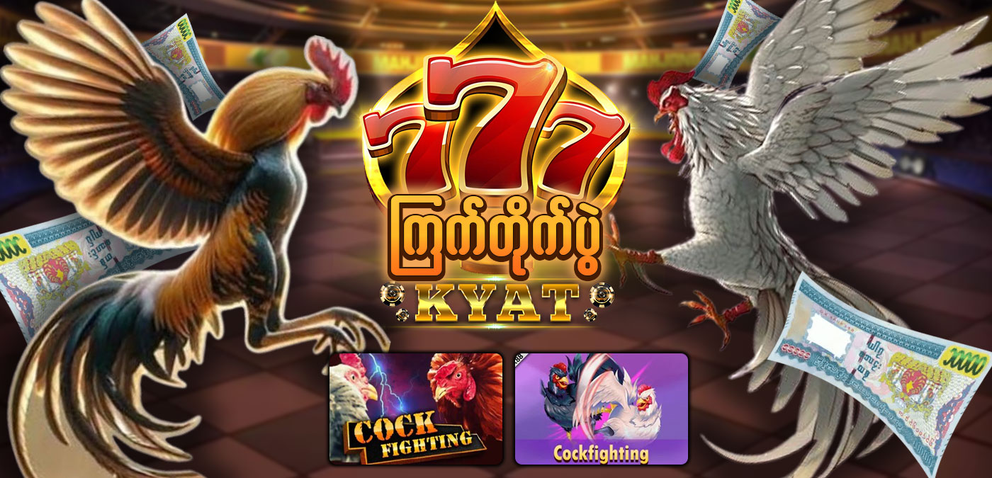 Live တိုက်ရိုက်ကြက်တိုက်ပွဲ